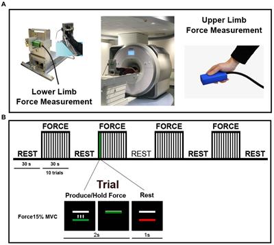 fMRI changes during multi-limb movements in Parkinson’s disease